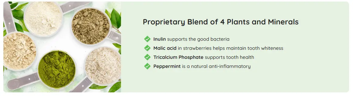 prodentim Ingredients